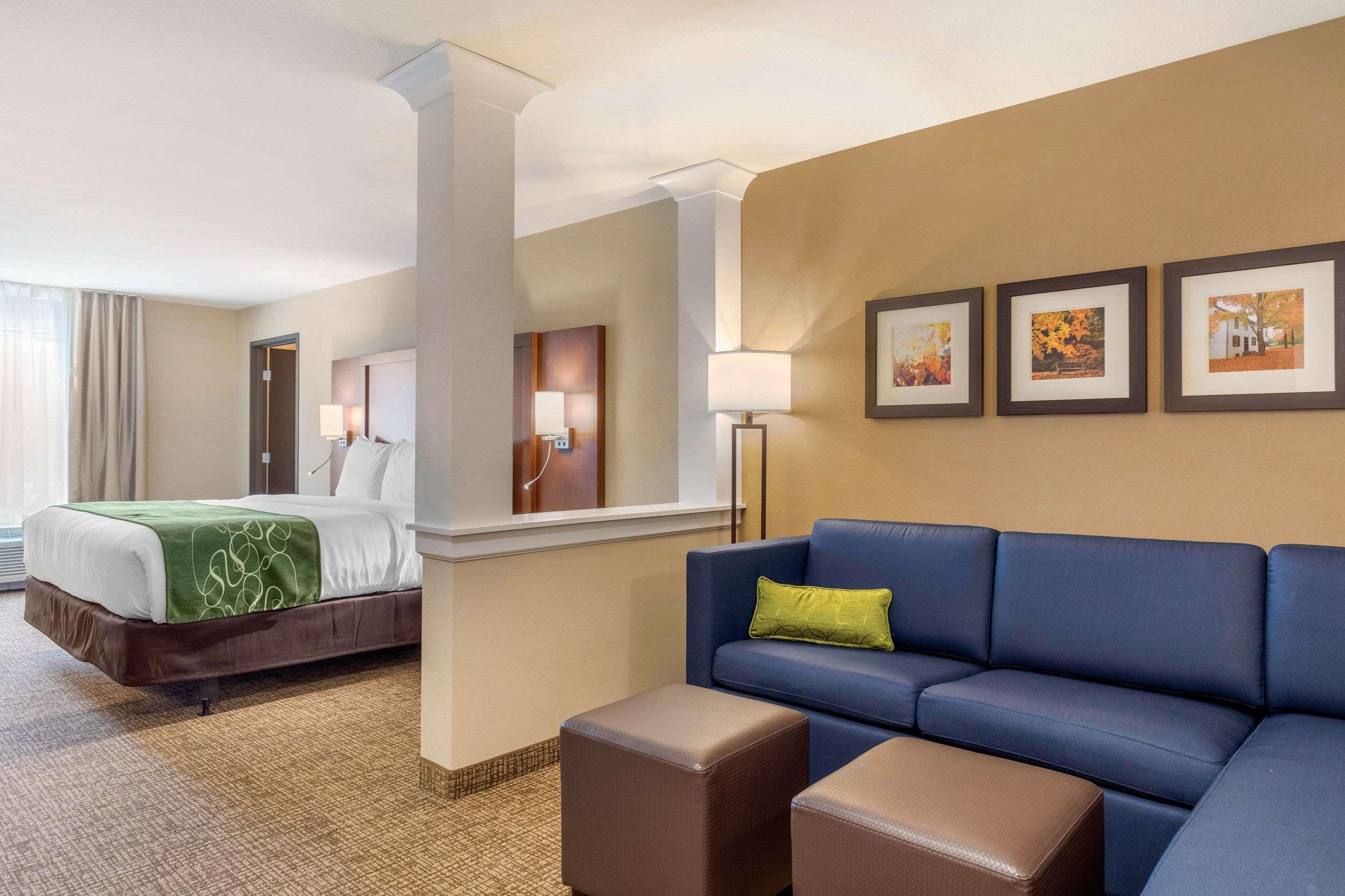 Comfort Inn & Suites Schenectady - Scotia Екстер'єр фото
