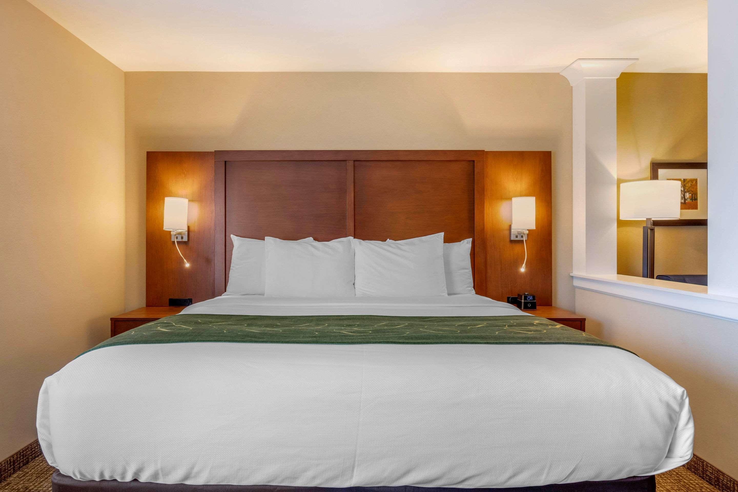 Comfort Inn & Suites Schenectady - Scotia Екстер'єр фото